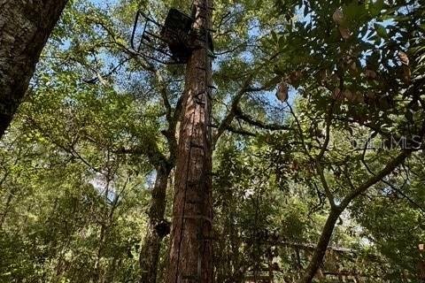 Terreno en venta en Fort White, Florida № 1901344 - foto 14