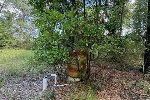 Terreno en venta en Fort White, Florida № 1901344 - foto 10