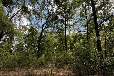 Terreno en venta en Fort White, Florida № 1901344 - foto 13