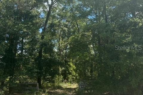 Terreno en venta en Fort White, Florida № 1901344 - foto 23