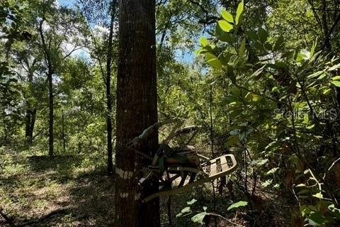 Terreno en venta en Fort White, Florida № 1901344 - foto 16