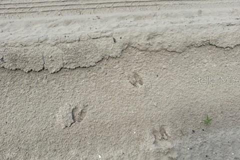 Terreno en venta en Fort White, Florida № 1901344 - foto 8