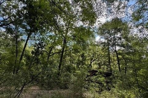 Terreno en venta en Fort White, Florida № 1901344 - foto 12