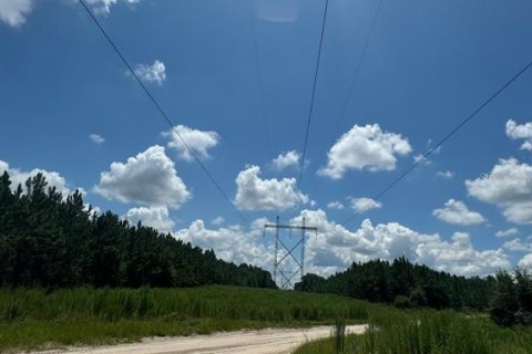 Terreno en venta en Fort White, Florida № 1901344 - foto 21