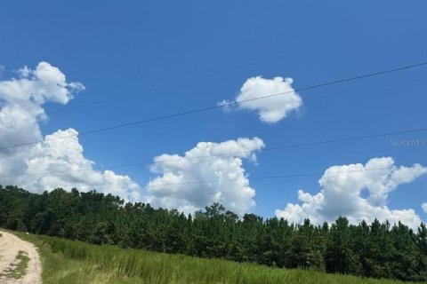 Terreno en venta en Fort White, Florida № 1901344 - foto 25