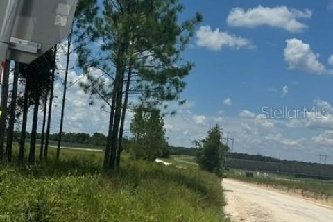 Terreno en venta en Fort White, Florida № 1901344 - foto 29