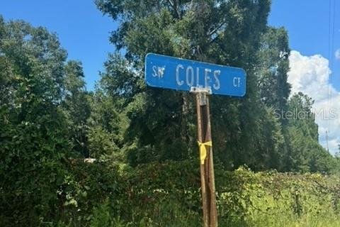 Terreno en venta en Fort White, Florida № 1901344 - foto 27