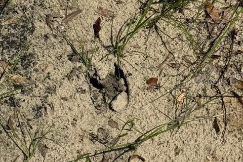 Terreno en venta en Fort White, Florida № 1901344 - foto 19