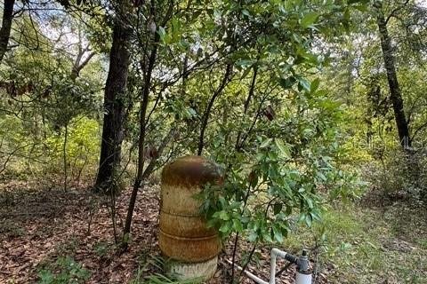 Terreno en venta en Fort White, Florida № 1901344 - foto 11