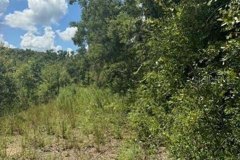 Terreno en venta en Fort White, Florida № 1901344 - foto 18