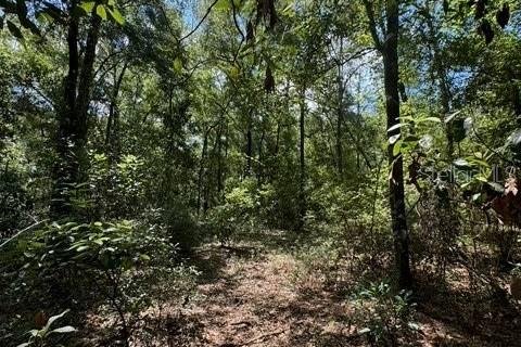 Terreno en venta en Fort White, Florida № 1901344 - foto 15