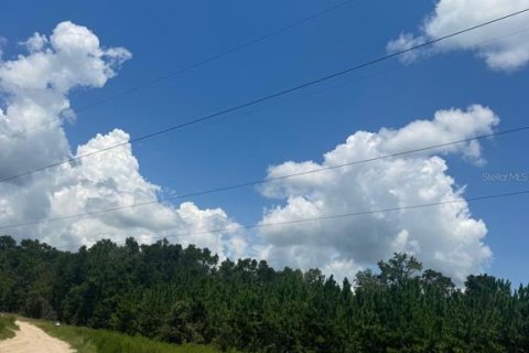 Terreno en venta en Fort White, Florida № 1901344 - foto 26