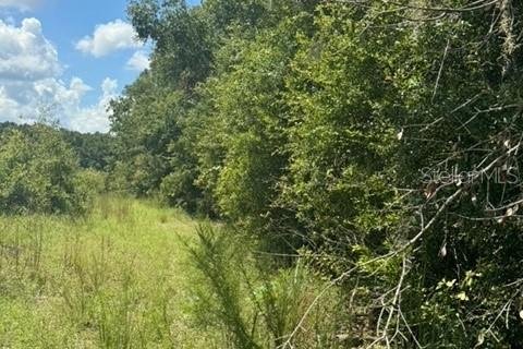 Terreno en venta en Fort White, Florida № 1901344 - foto 3