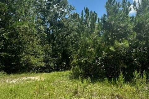 Terreno en venta en Fort White, Florida № 1901344 - foto 22