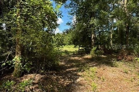 Terreno en venta en Fort White, Florida № 1901344 - foto 9