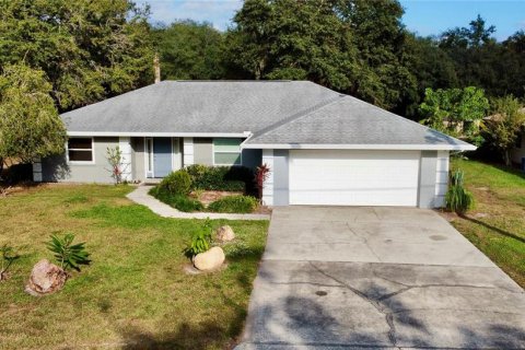 Villa ou maison à Lake Wales, Floride 3 chambres, 135.64 m2 № 2100615