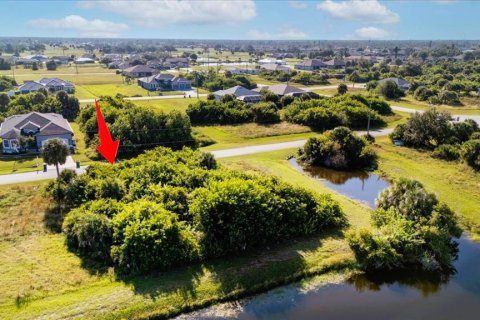 Terreno en venta en Rotonda, Florida № 2098223 - foto 5