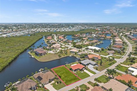 Land in Punta Gorda, Florida № 2229403 - photo 3