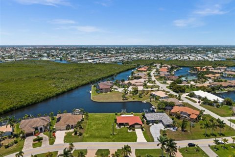 Land in Punta Gorda, Florida № 2229403 - photo 5