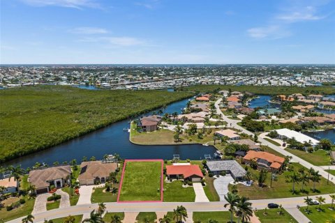 Land in Punta Gorda, Florida № 2229403 - photo 4