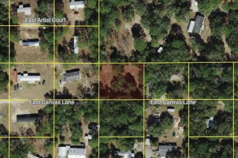 Land in Hernando, Florida № 2165447 - photo 2