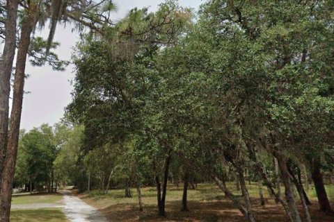 Land in Hernando, Florida № 2165447