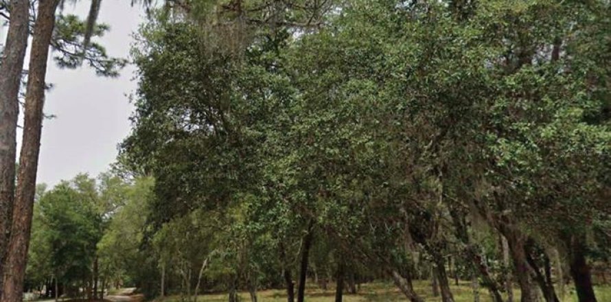 Land in Hernando, Florida № 2165447