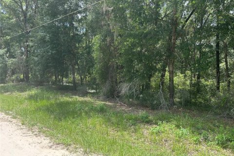 Land in Dunnellon, Florida № 2212304 - photo 3
