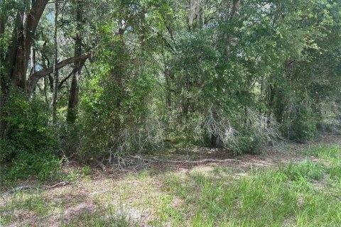 Land in Dunnellon, Florida № 2212304 - photo 2