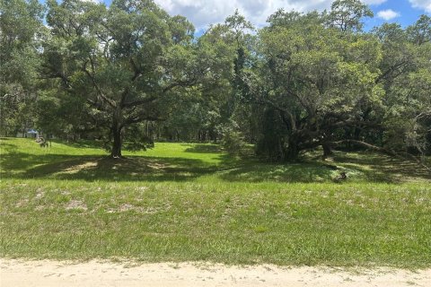 Land in Dunnellon, Florida № 2212304 - photo 6