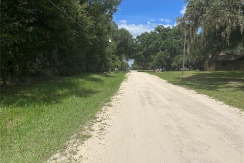 Land in Dunnellon, Florida № 2212304 - photo 5