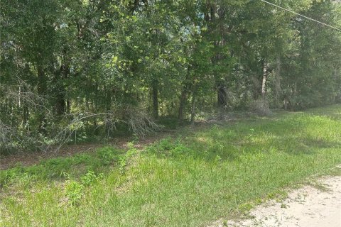 Land in Dunnellon, Florida № 2212304 - photo 4
