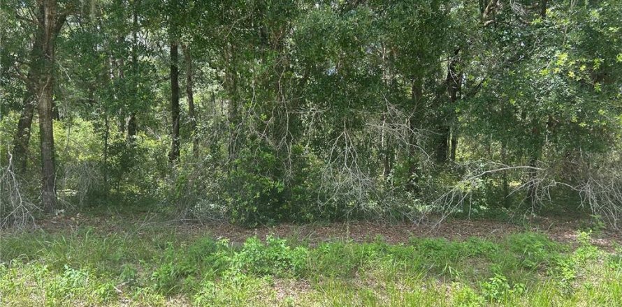 Land in Dunnellon, Florida № 2212304