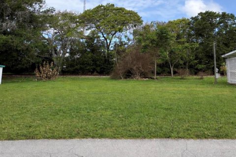 Land in Tavares, Florida № 2218278