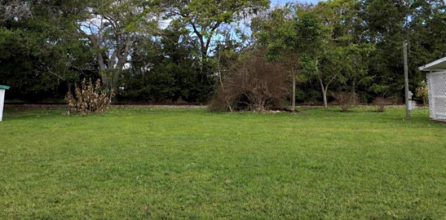 Land in Tavares, Florida № 2218278