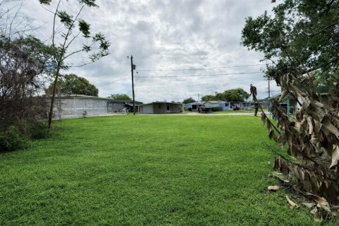 Land in Tavares, Florida № 2218278 - photo 3