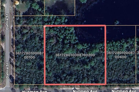 Terreno en venta en Eustis, Florida № 1652591 - foto 1
