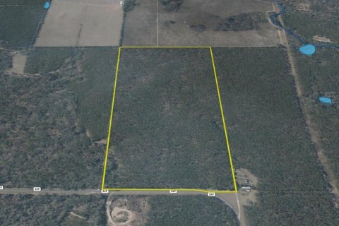 Land in Jasper, Florida № 1879955 - photo 24