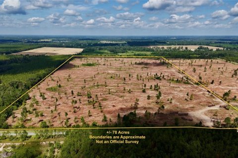 Land in Jasper, Florida № 1879955 - photo 1