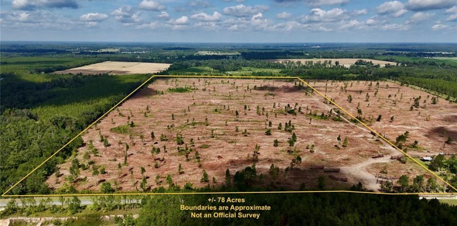 Land in Jasper, Florida № 1879955