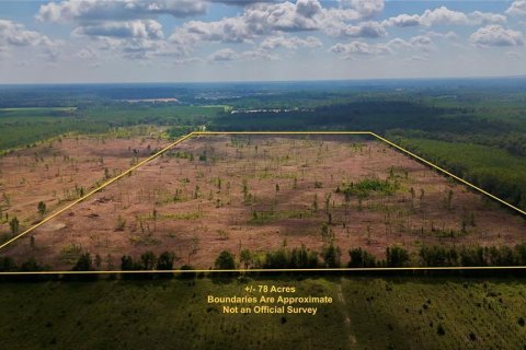 Land in Jasper, Florida № 1879955 - photo 3