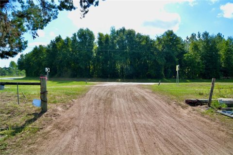 Land in Jasper, Florida № 1879955 - photo 4