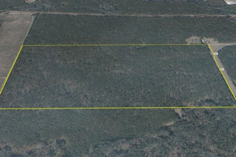 Land in Jasper, Florida № 1879955 - photo 23
