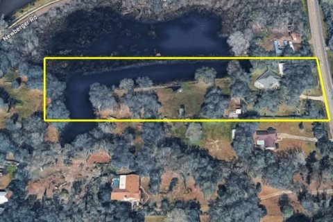 Commercial property in Lutz, Florida 169.55 sq.m. № 2233955