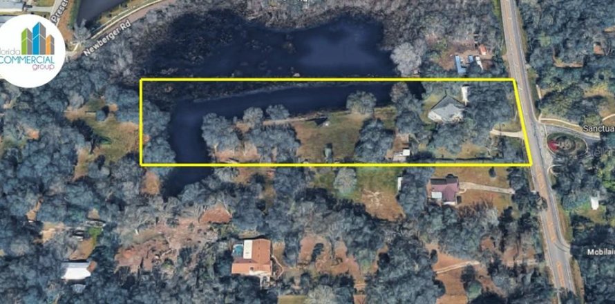 Immobilier commercial à Lutz, Floride 169.55 m2 № 2233955