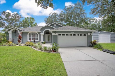 Immobilier commercial à vendre à Lutz, Floride: 169.55 m2 № 2233955 - photo 6