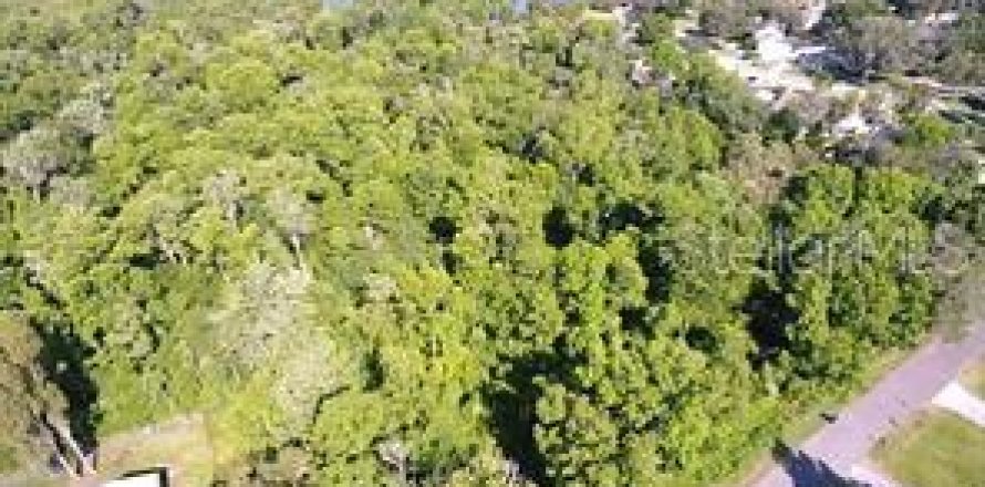 Land in Lakeland, Florida № 1792256