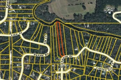 Land in Middleburg, Florida № 765327 - photo 1