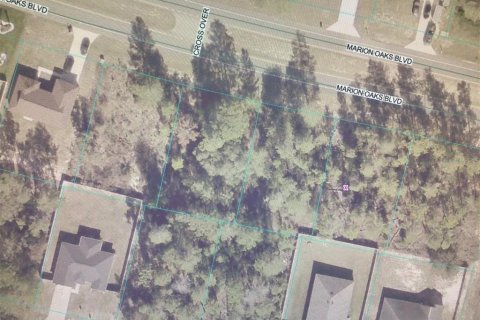 Land in Ocala, Florida № 2390967 - photo 3