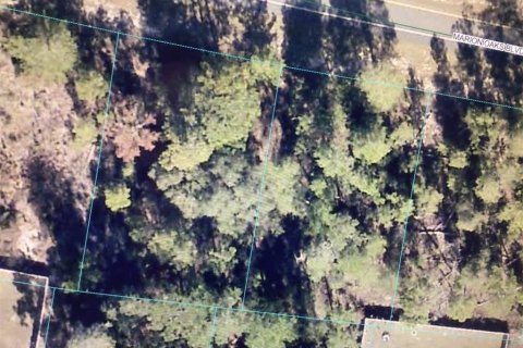 Land in Ocala, Florida № 2390967